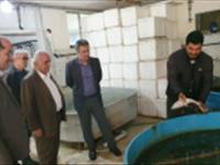 بازدید رئیس موسسه تحقیقات علوم شیلاتی کشور از ایستگاه تحقیقات قره سو-گلستان