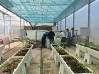 بازدید رئیس و معاون پژوهشی مرکز از روند راه اندازی پروژه مشترک سیستم آکواپونیک در گلخانه ی پرورش میوه در استان گلستان