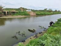 شرکت در آئین رهاسازی مولدین کپور دریایی به رودخانه جهت تکثیر طبیعی