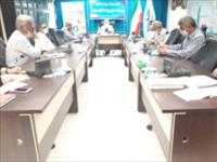 ششمین جلسه کمیته نظارت بر رهاسازی بچه ماهیان استان گلستان